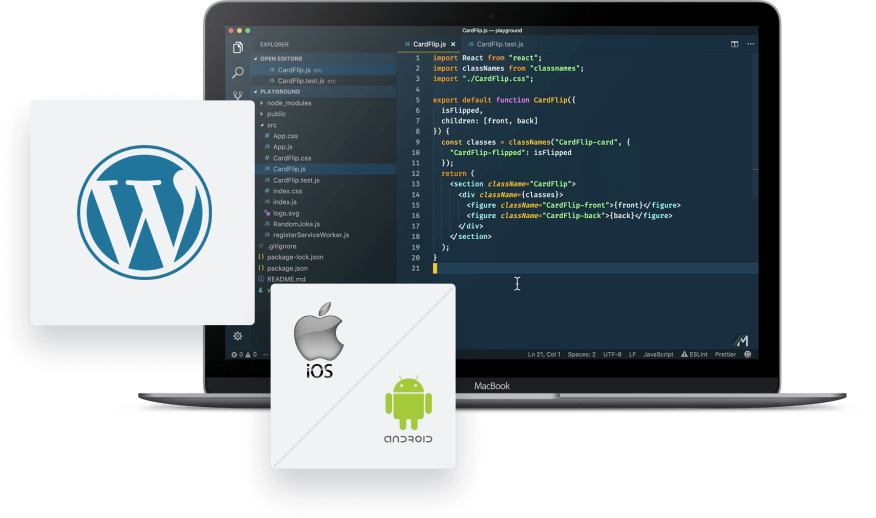 website development in Dubai